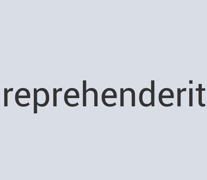 Heavy Duty Aluminum Eyedentify