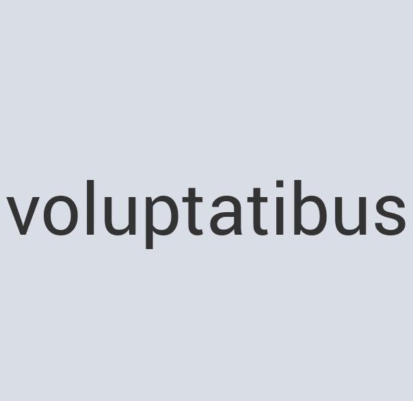 Awesome Wooden Dognost