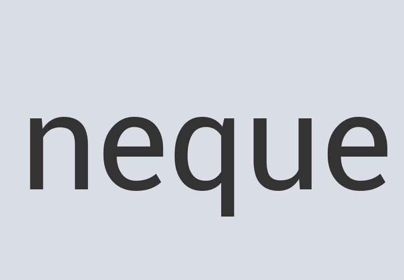 Durable Plastic NuPhoney