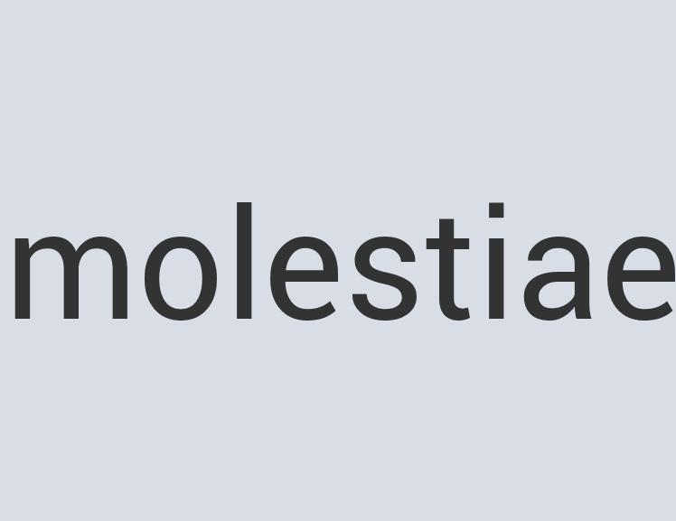 Fantastic Leather New Dad