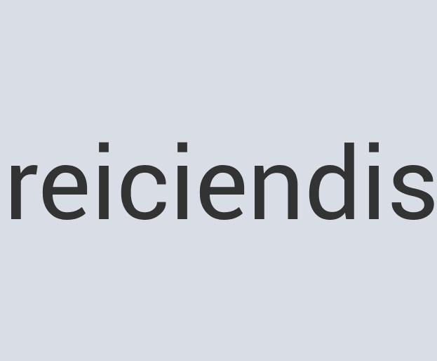 Ergonomic Leather Kitch Bitch